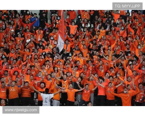 匈牙利与斯洛伐克精彩对决赛果揭晓引发球迷热议