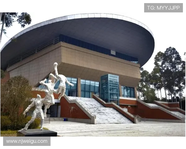 成都排球队实力提升引发热议展望未来发展新篇章